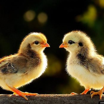 tren-duong-bang-mot-la-thu-quang-binh