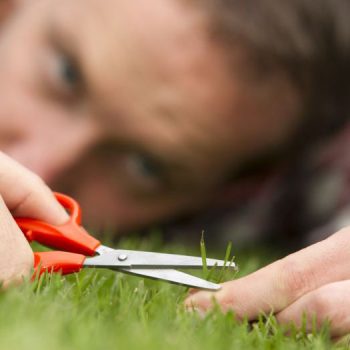 tren-duong-bang-chu-nghia-hoan-hao-cua-nguoi-duc-alt